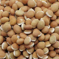Brown Field Beans