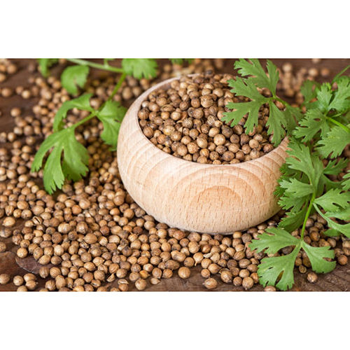 Coriander Seeds