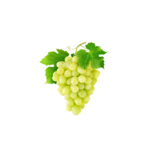 Common Fresh Green Grapes