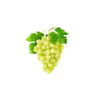 Fresh Green Grapes - Nutrient-rich, 104 Calories, 27.3g Carbohydrates, 1.4g Fiber, Whole, Normal Size, Common Cultivation, Normal Taste