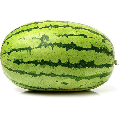 Green Fresh Watermelon