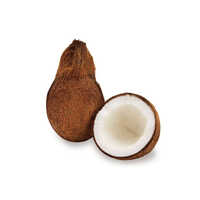 Fresh Coconut - Whole Fruit, Normal Size, Brown Color | Natural Healthy Snack, Rich in Vitamins and Healthy Fats, Ideal for Vegan Cooking