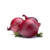 Fresh Red Onion Moisture (%): 50