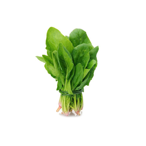 Fresh Spinach Moisture (%): 50