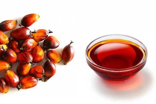 Red Palm Oil  Raw Palm Oil for Sale