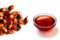 Red Palm Oil Raw - Mni 0.03% Max, Ffa 0.07% Max, Melt Point 17.40â°c Max, Iv 58.78 Min, Cloud Point 6.50â°c Max | Organic, Crude, 24 Months Shelf Life, Ideal For Cooking