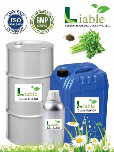 Celery Ayurvedic Seed Oil