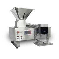 Automatic Counting Machine