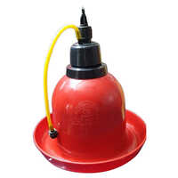 Poultry Drinker Feeders