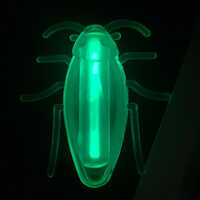 Glow Light Toy For Kids
