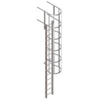 Industrial Cage Ladder