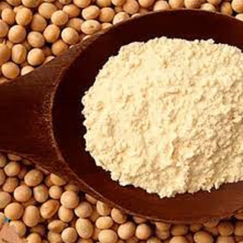 Soya Protein Isolate IP