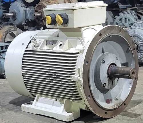 ELECTRICALS INDUCTION MOTORS