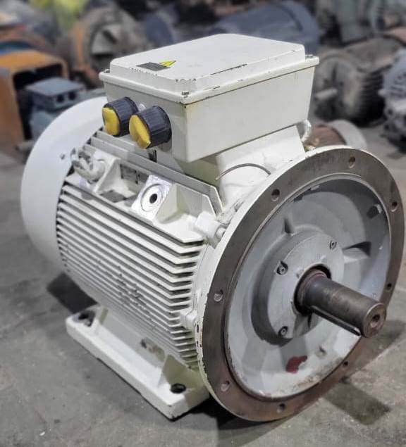 ELECTRICALS INDUCTION MOTORS
