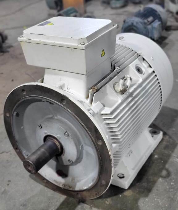 ELECTRICALS INDUCTION MOTORS