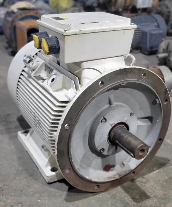 ELECTRICALS INDUCTION MOTORS
