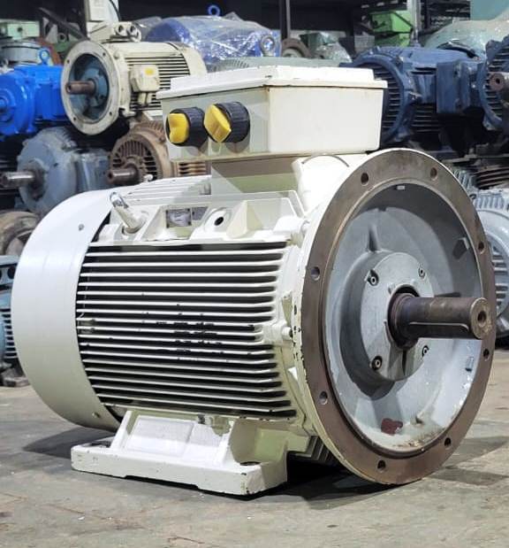 ELECTRICALS INDUCTION MOTORS