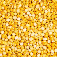 Chana Dal - Split Pulse, Yellow Color, High Purity, 0% Moisture | Nutritious Source of Plant-Based Protein and Dietary Fiber