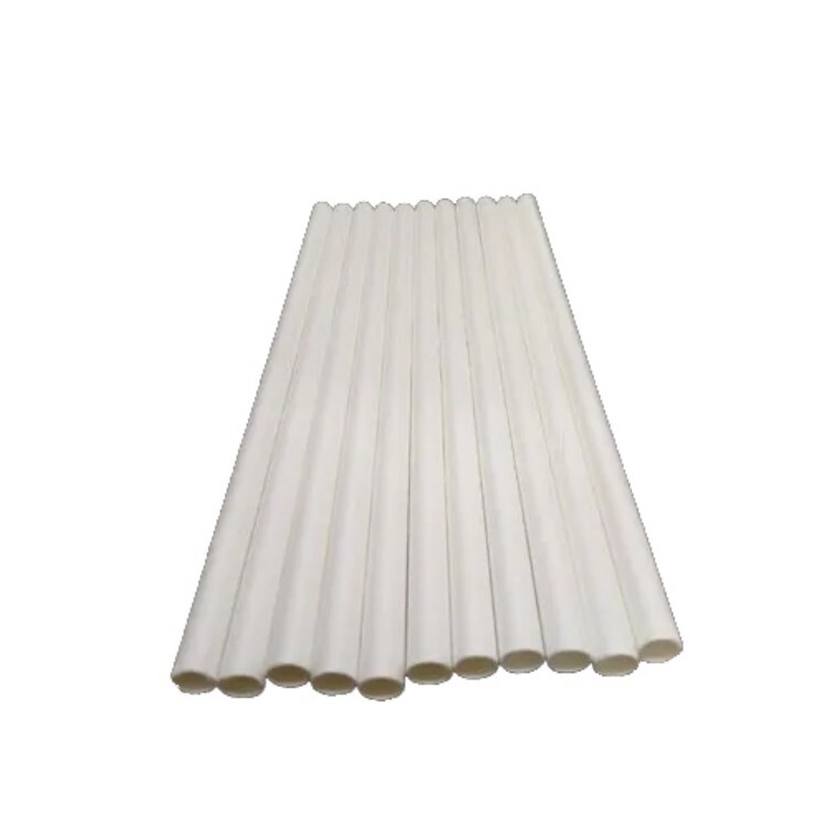 Drinking Paper Straw