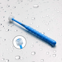 Poptan SOH Toothbrush