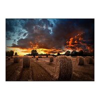 Samsung Led Tv - 3.5mm Ultra-narrow Bezel, 320x160 Dimensions, 43-55 Inch Size | Seamless Display, Wide Viewing Angles, Non-glare Panels
