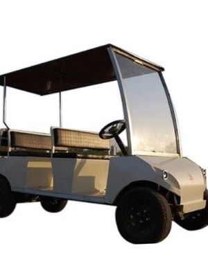 Electric Golf Cart