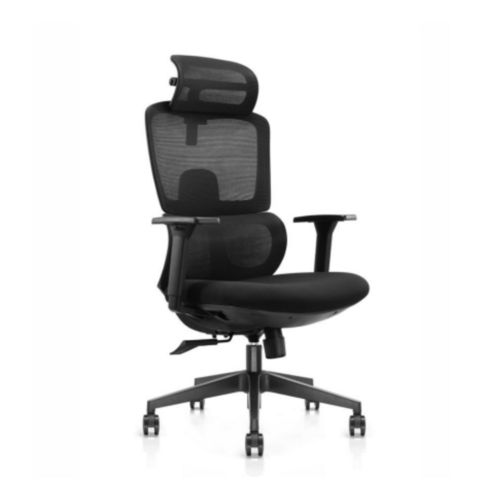 Desire Dlx HB Chair