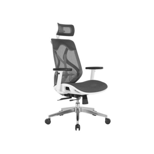 Ergon Mesh White HB Chairs