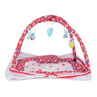 Baby Play Gym