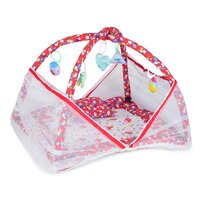 Baby Play Gym