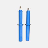 Telescopic Cylinder