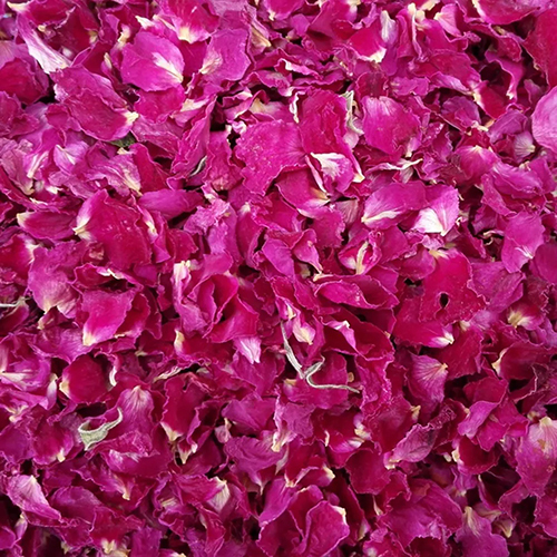 Dry Rose Petals