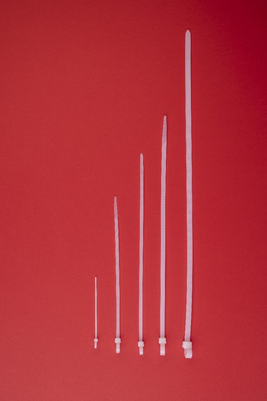 Mario Cable Tie - 2.5x200mm