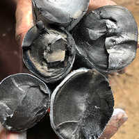 Maytieu Wood Charcoal