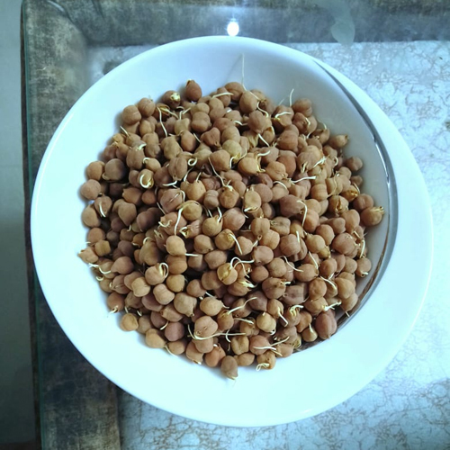 Dehydrated Sprouted Chana