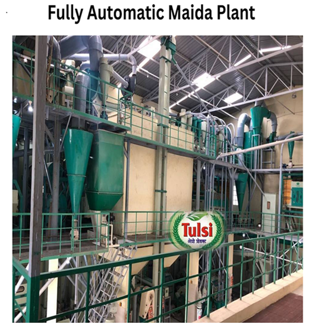 Fully Automatic Maida Plant