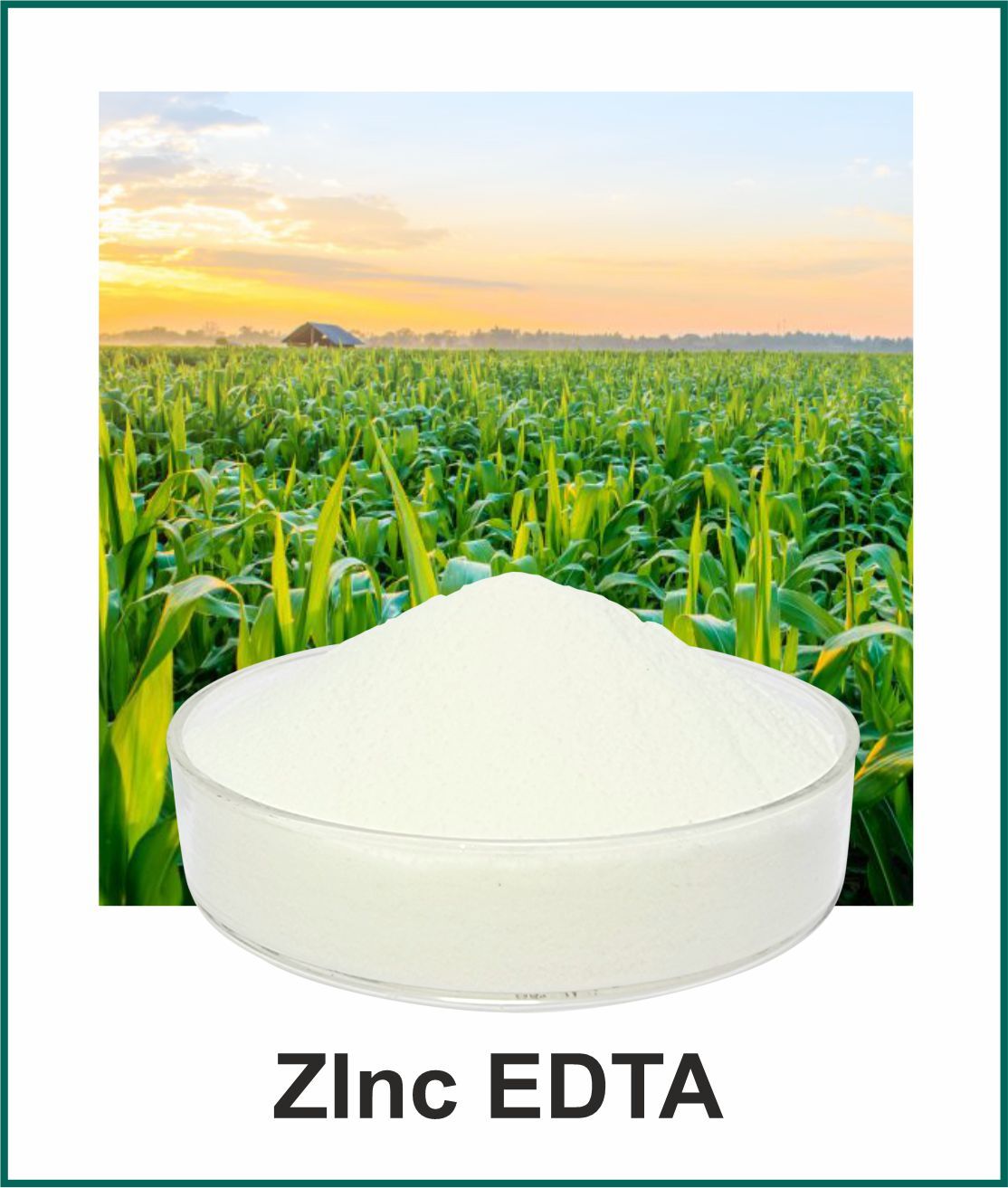 Zeron Micronutrient Fertilizers