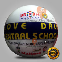 School Advertising Air Balloons