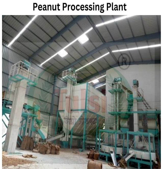 Peanut Processing Machine