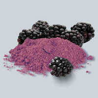 Spray Dried Blackberry Powder - Common Cultivation, Red Color, Food Grade, Nutrient-Rich Superfood Supplement