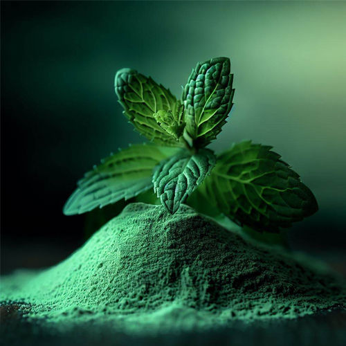 Green Spray Dried Mint Powder