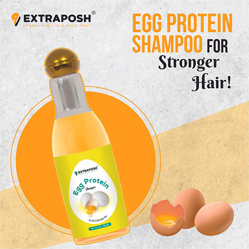 Egg Protein Shampoo