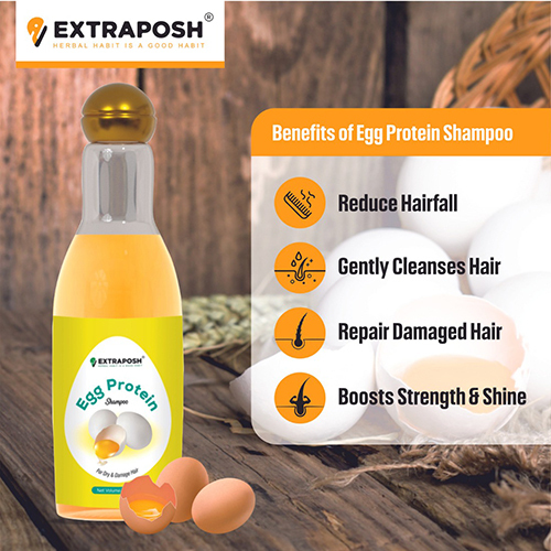 Egg Protein Shampoo