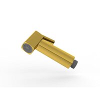 Gold Health Faucet - Finish: Glossy