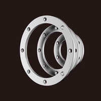 Machined Finish Ss Ferrous Centrifugal Casting