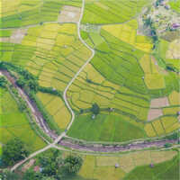 Surveying And Mapping Software