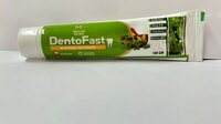 Dentofast Ayurvedic Toothpaste - 100gm | 3-year Shelf Life, Supports Gum Health, Reduces Bad Odor, Alleviates Toothache, Aids Periodontal Care