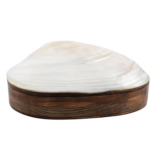 630G Mother Of Pearl And Wood Big Shell Box Application: Kitchen