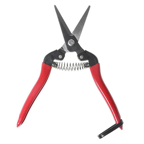 ARS 300L Grape And Fruit Scissor High Carbon Steel Blade For Farm And Garden Pruning Needle Nose Fruit Pruners