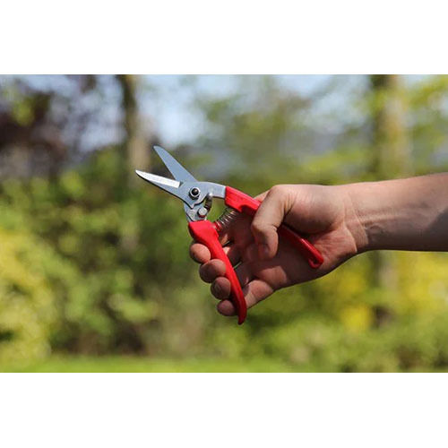 Snapklik.com : Goat Hoof Trimmers, Goat Hoof Trimming Shears Multiuse  Carbon Steel, Nail Clippers For Sheep, Alpaca, Lamb, Pig Hooves, Plant  Pruning Shears, Garden Scissors For Floral,bonsai
